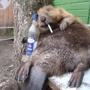 240km/h.PEEK | trenboberr