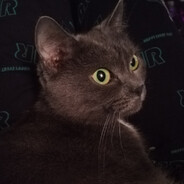 Антон Чигур