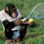 MonkeyTennis