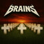 BRAINS