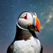 StarPuffin