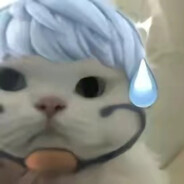 学历有水分，需要调查