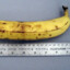 23cm