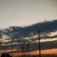 手可摘晶晶