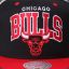 BULLS