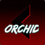 Orchid