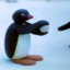 pingu