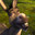 Garen Redfang