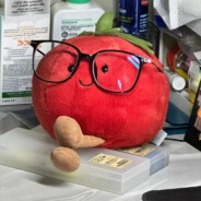 爱睡觉的加菲猫