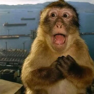 тимос барбос