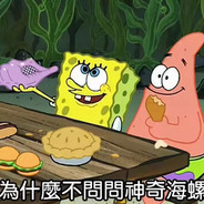 为什么不问问神奇海螺