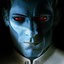 Thrawn2137