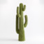 A Sexually Active Cactus 2