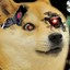 DogeTron