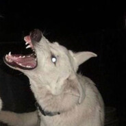 最速の神秘厉害人物