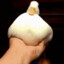 Cheeseduck99