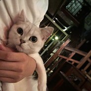 Apex 狗游戏，CNM