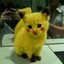 Pikachu THUNDER