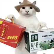 猴子全是哈哈怪