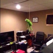 Kermit Gone Bad