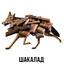 шакалад