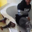 CraiiGShurick_0132
