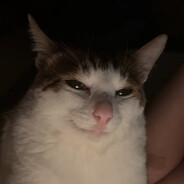 Uncle Bao - steam id 76561198399305072