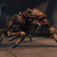 Skulkmageddon avatar