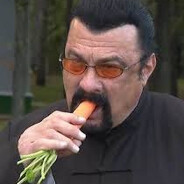 STEVEN SEAGAL