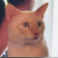 d e f e n d e r