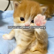 кисимиси♡ Steam avatar