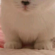 体弱多病牛牛超硬