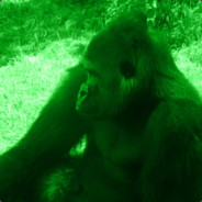 green ape