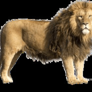 jack black (cool version)