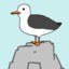 Stand_up_Seagull