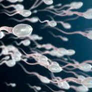 конча бобра♥