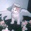 天国の端にいる子猫の天使 Avatar of player 天国の端にいる子猫の天使