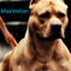 MAXIMILIAN