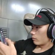 枯枝上的黑乌鸦