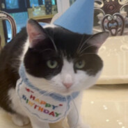 媽の，最も煩いは装逼の人