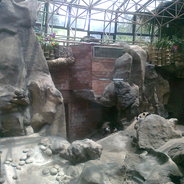 我是二黑我怕谁