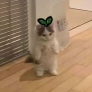 danq0_ttv avatarı