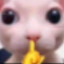 Gerbid's avatar
