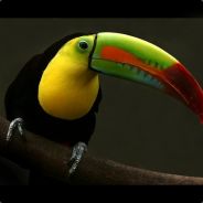 KinGpiN - steam id 76561197960452397