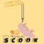 SCOOK