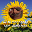 É nóis que voa BRUXÃO!