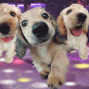 посудомойка