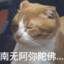 mm退游玩家