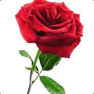 红玫瑰