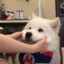 阿呱